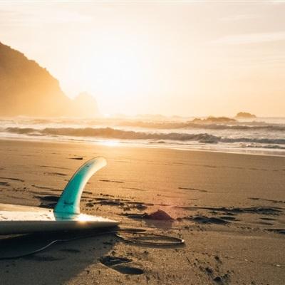 半岛手机网页版